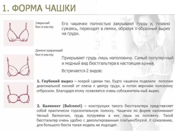 форма чашечки бюстгальтера
